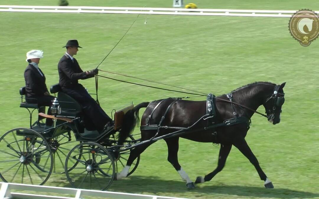 FST LAURIN hat das Ergebnis vom letzeb Jahr verbessert