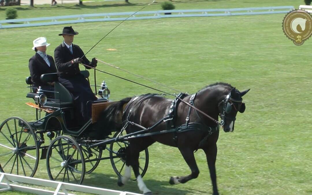 FST LAURIN javított tavalyi teljesítményén
