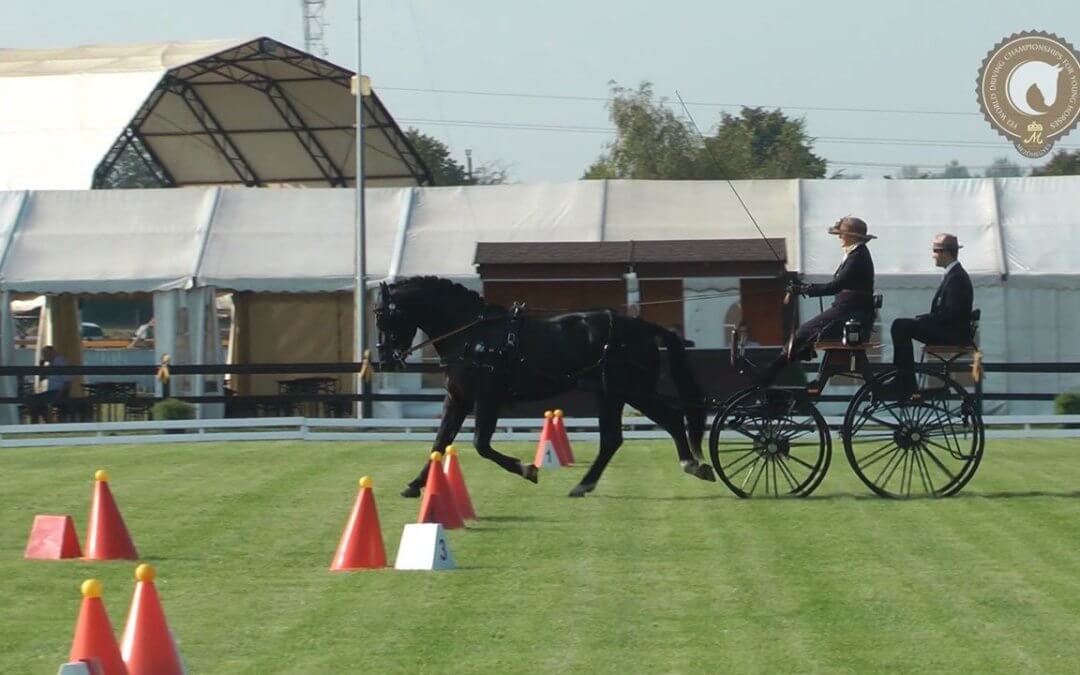 LAURIN és Marie Tischer (GER)
