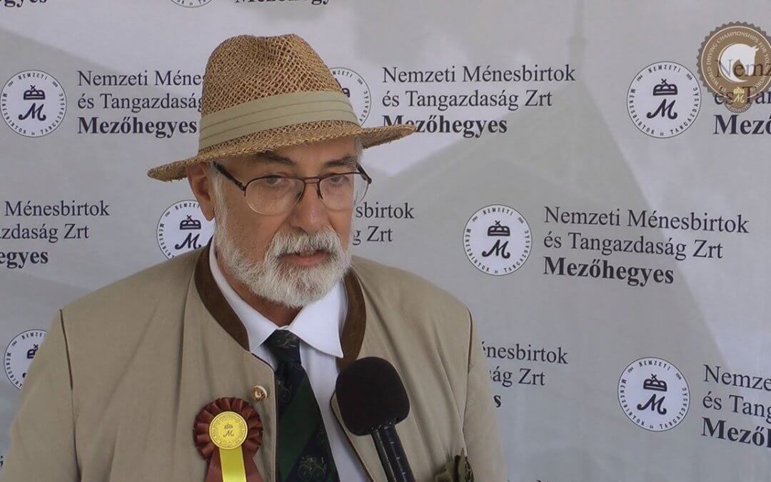 Az első két napot értékeltük