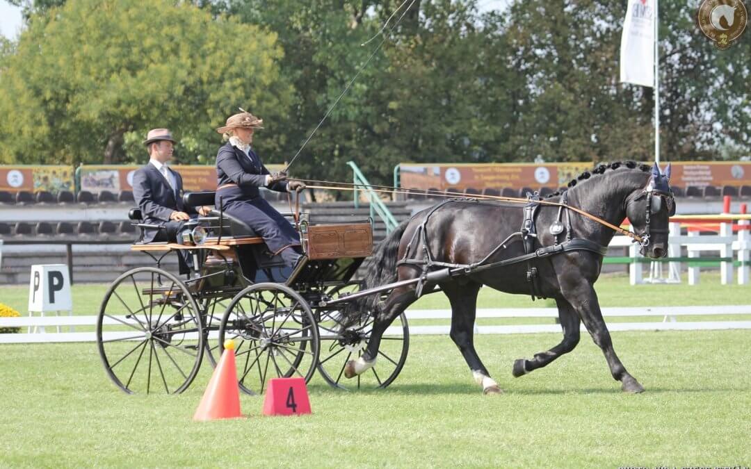 Vigaszágról a döntőbe