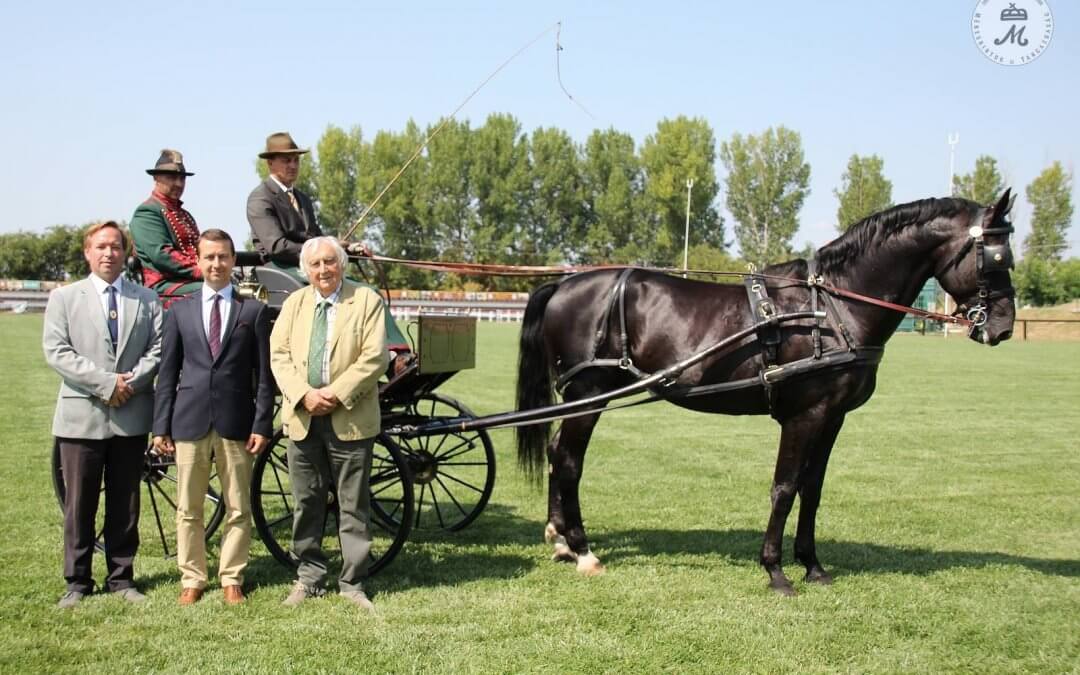 A város és a Ménesbirtok Ketten, egy lendülettel