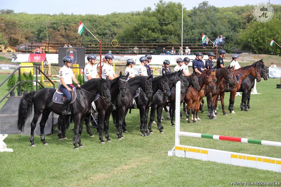 Nemzetközi Rendőr Lovasversenynek adtunk otthont