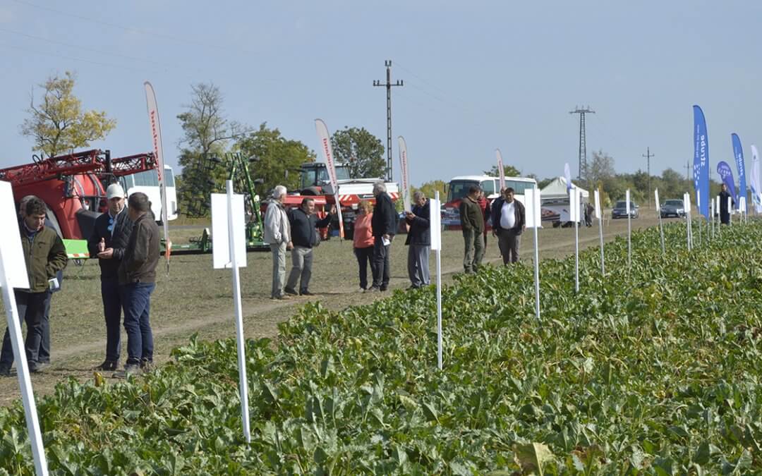 Cukorrépa-bemutató szakmai nap 2018-10-03