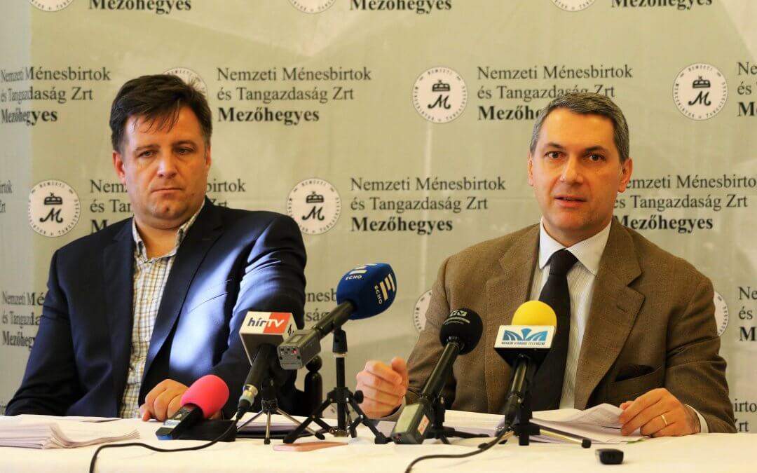 2019 a modernizálás és átalakítás éve lesz