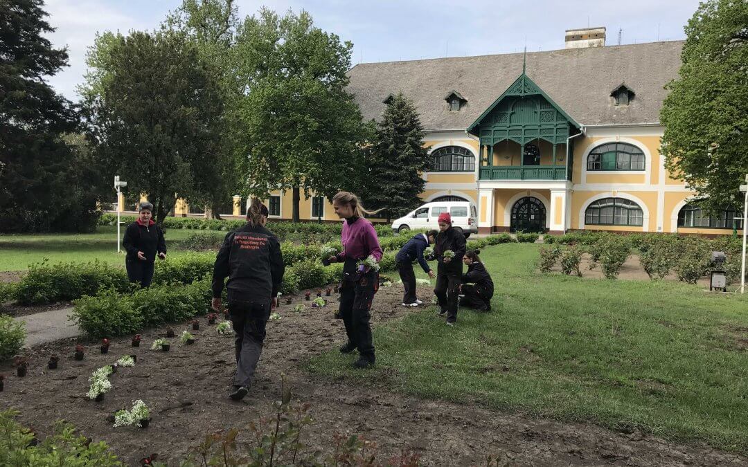 A Ménesbirtok iskolájának kiskertészei virágokat ültettek a Ménesudvarban