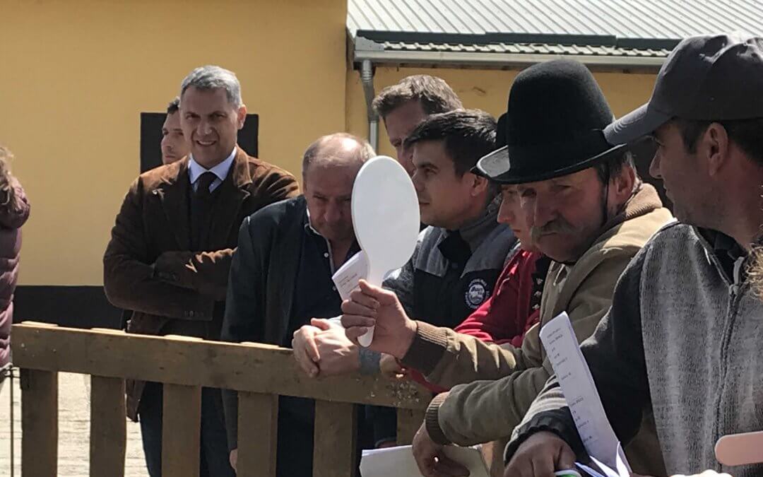 Lázár János és a Nemzeti Ménesbirtok és Tangazdaság menedzsmentje a cigája tenyészkosok árverésén