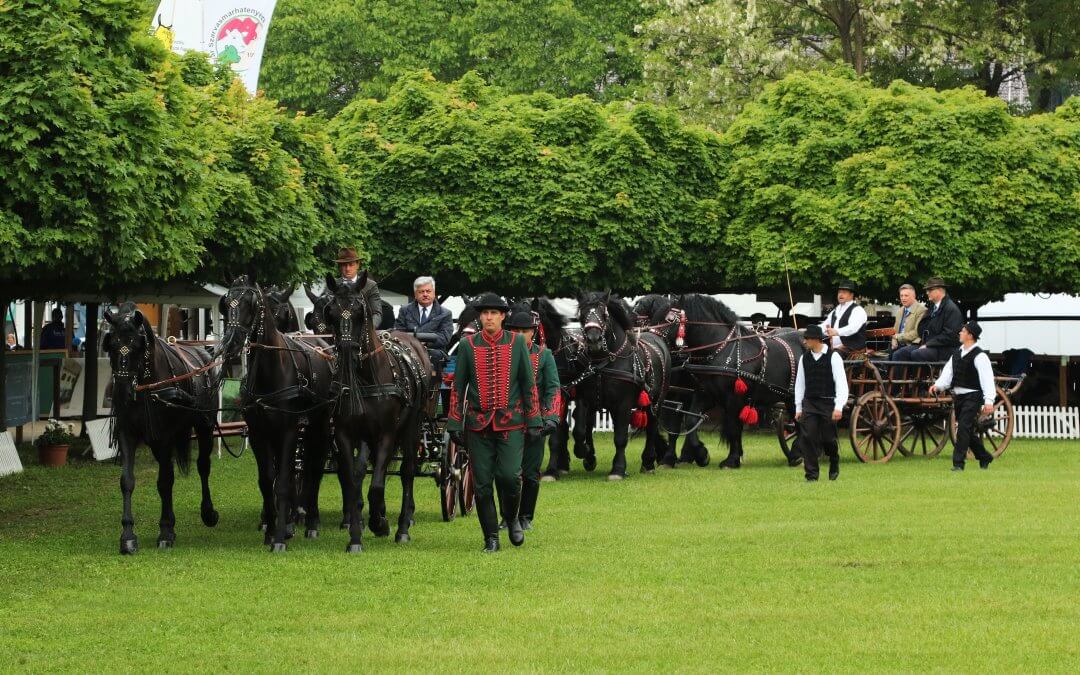 Sikerek a XXVI. Alföldi Állattenyésztési és Mezőgazda Napokon
