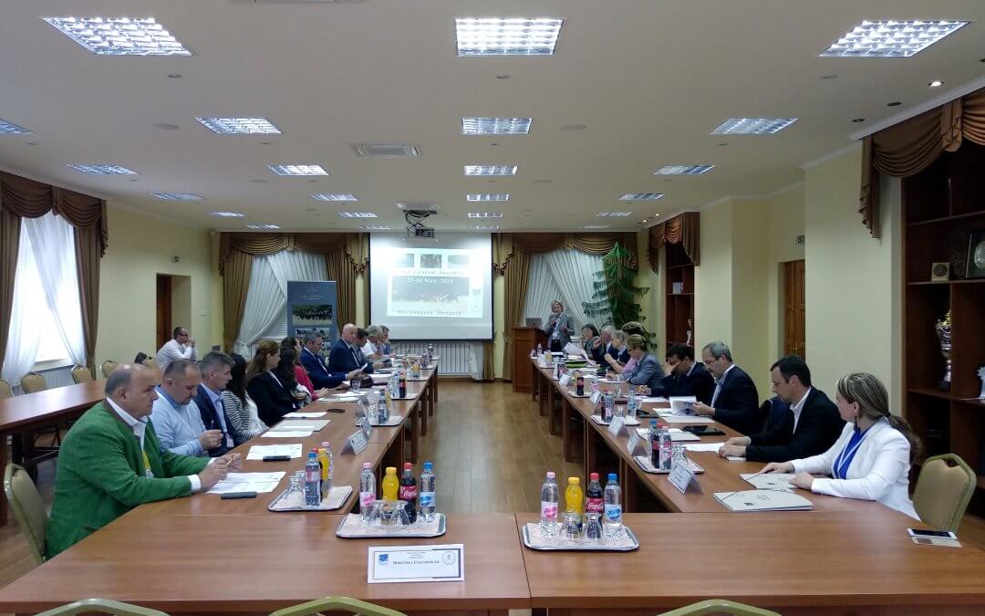 Kilenc ország tizenhárom állami ménese Mezőhegyesen – ESSA konferencia 2019