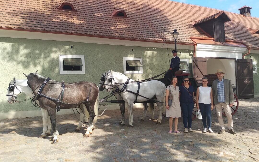 Csehországi ménesekben jártunk