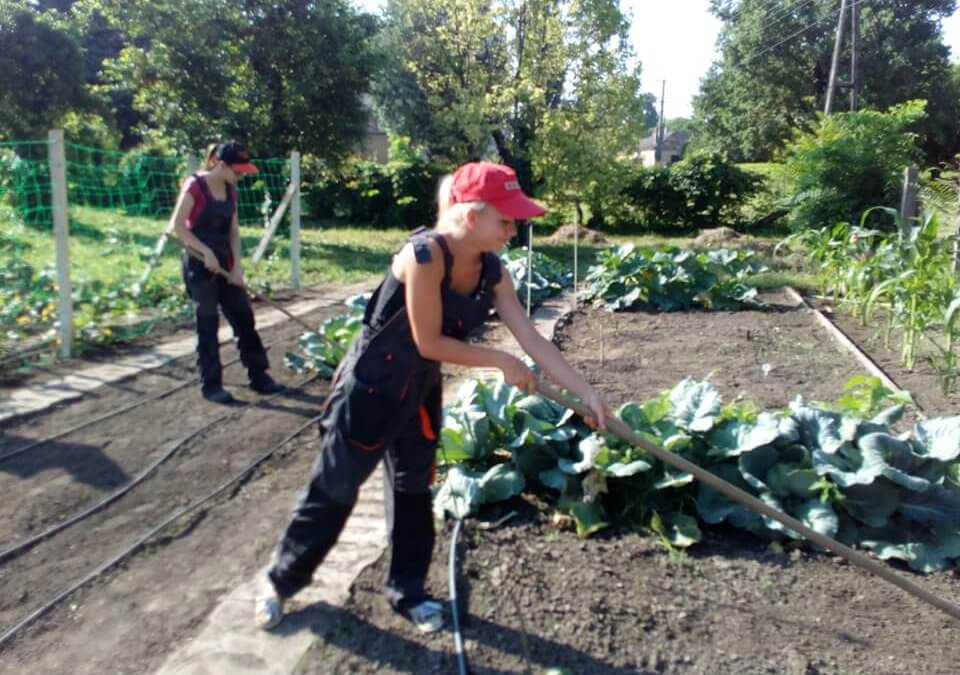 Összefüggő szakmai gyakorlat a Ménesbirtok iskolájában