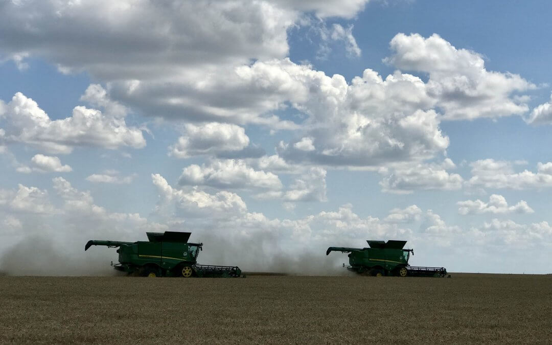 Zajlik az aratás a mintagazdaság földjein
