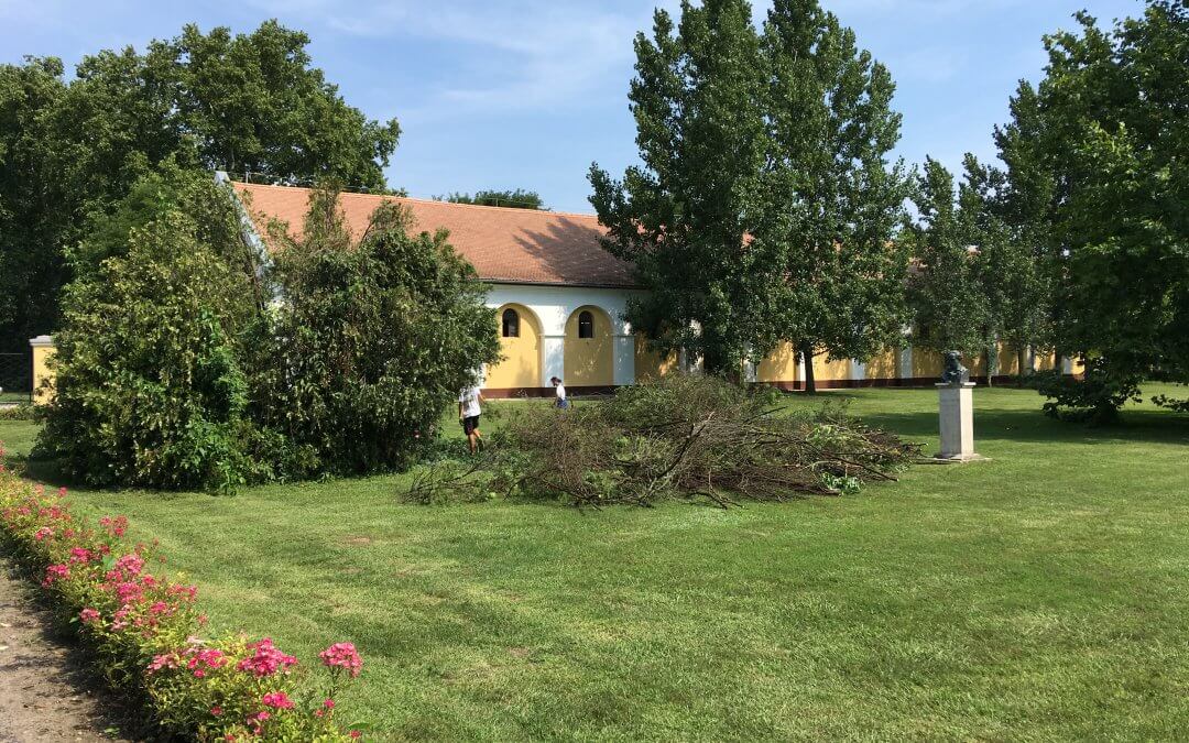 Gyepművelés a Ménesudvarban