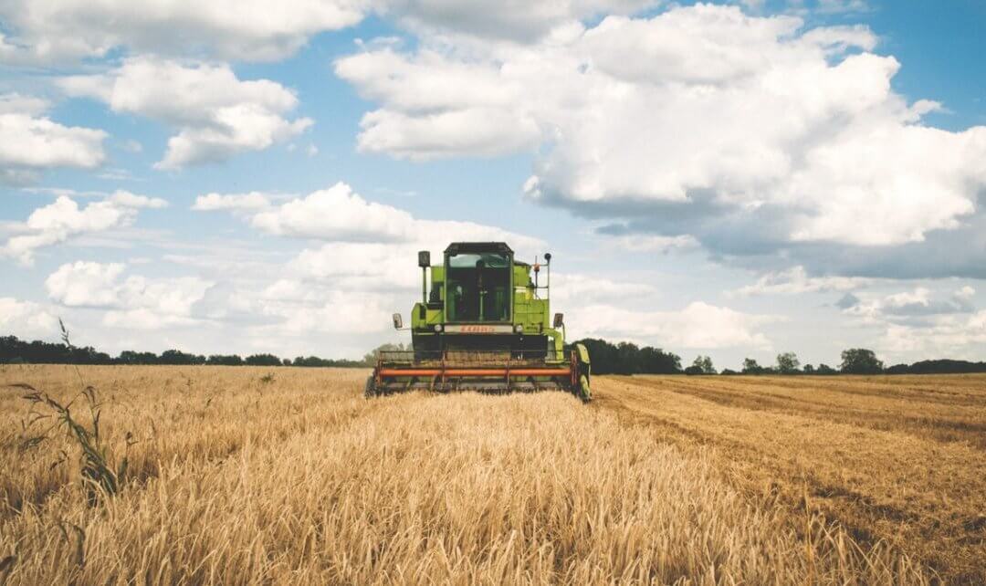 Papp István Tibor: a mezőgazdaság egy új időszámítás előtt