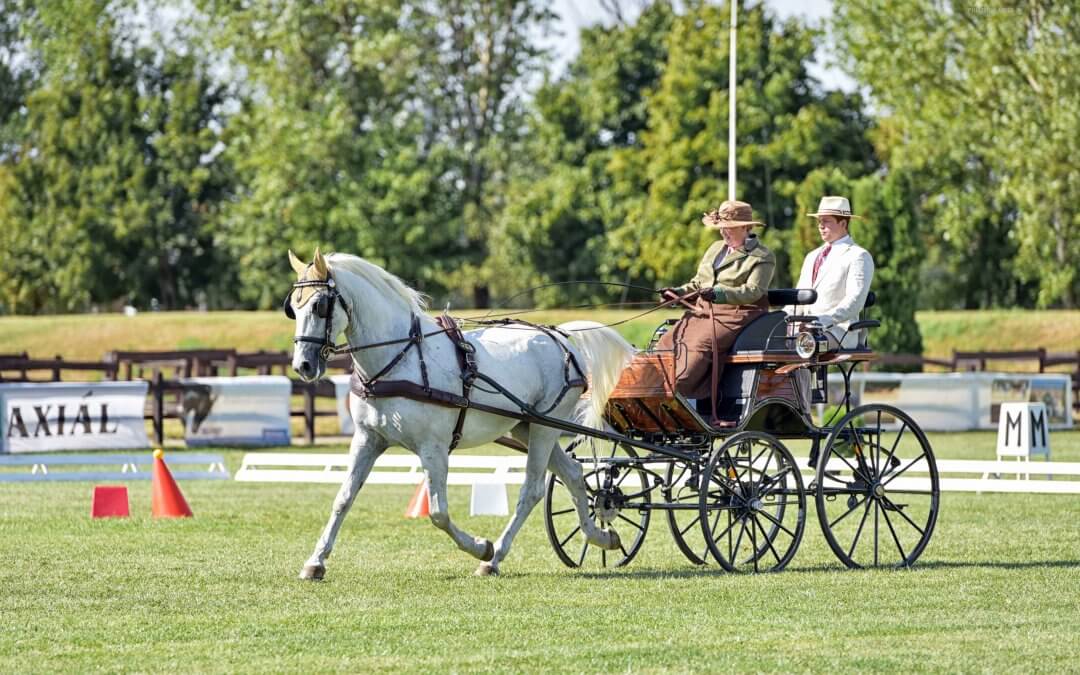 A második versenynap tétje: vigaszágról a döntőbe