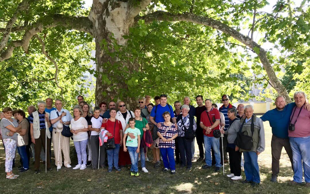 Mivel látjuk igazán a ménesudvart?