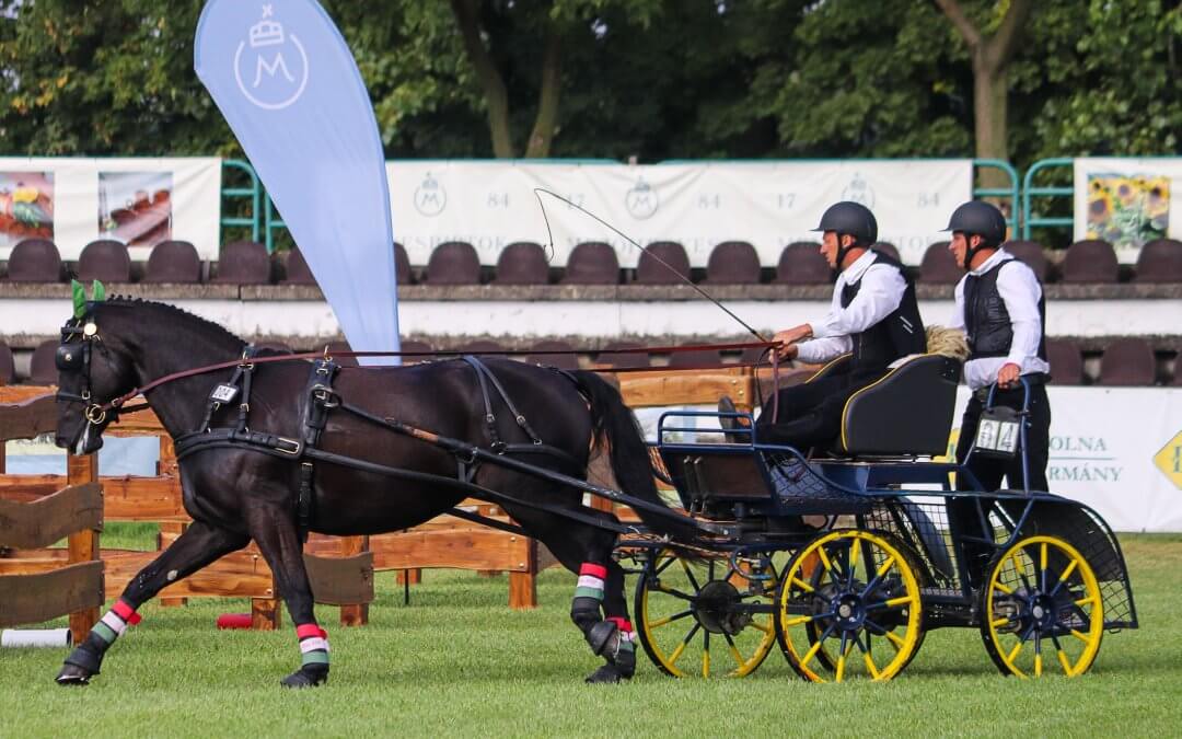 Két német és egy román ló a világbajnok