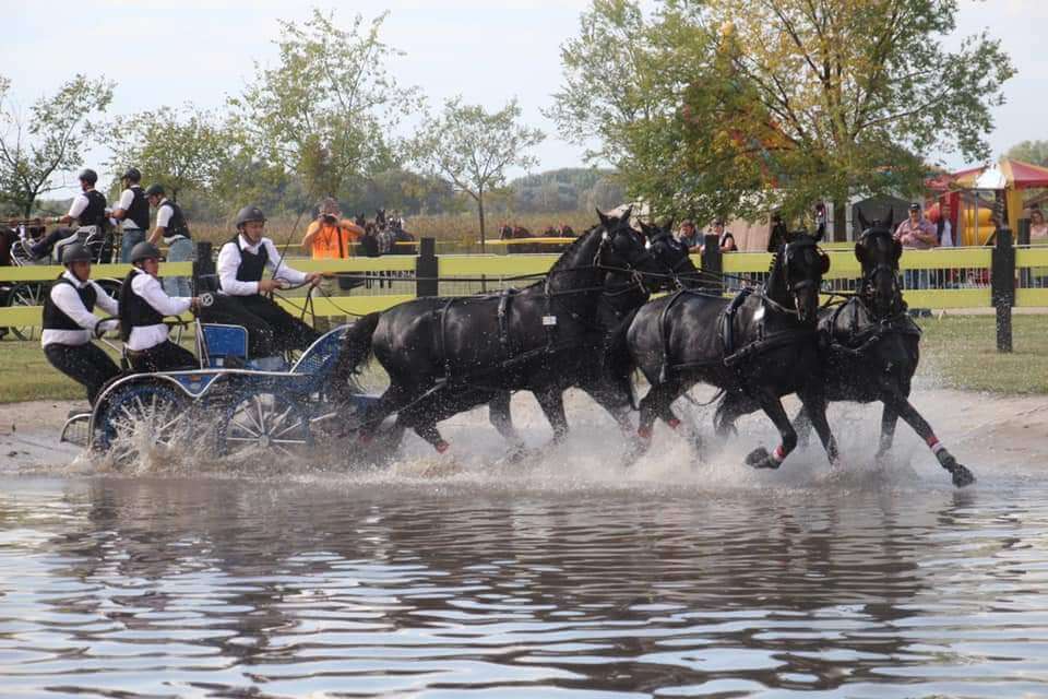 Eredményes szeptember