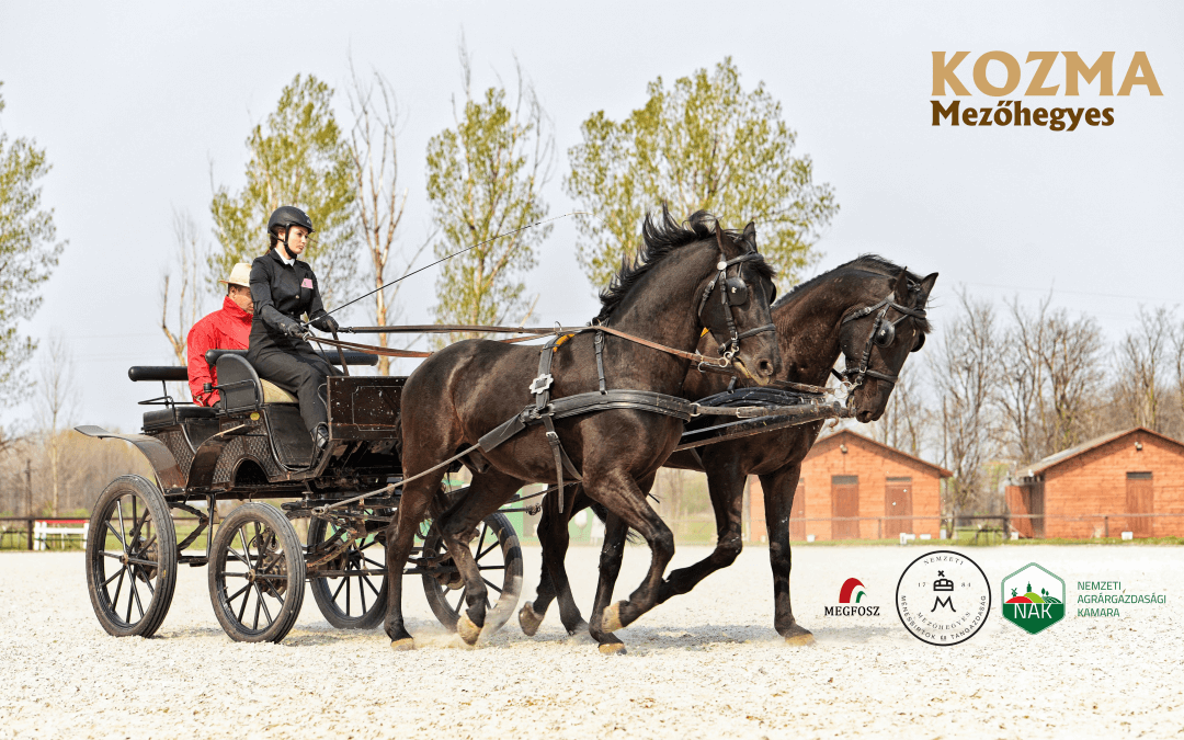 Tanulj a Ménesbirtok iskolájában!