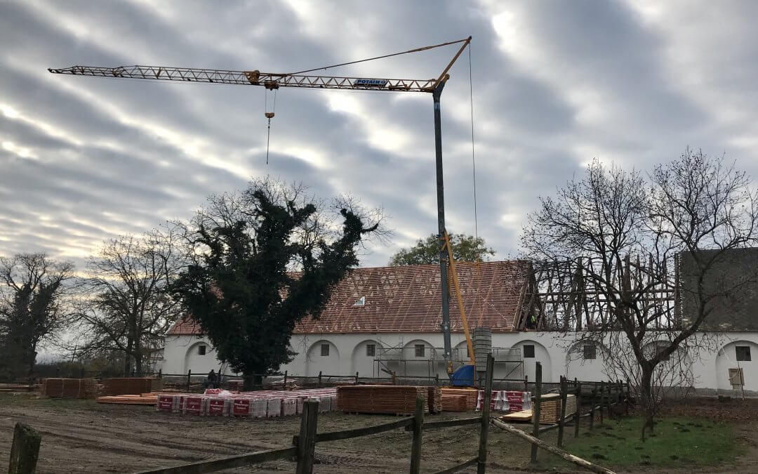 Helyzetjelentés a 20. majori ménes rekonstrukciójáról