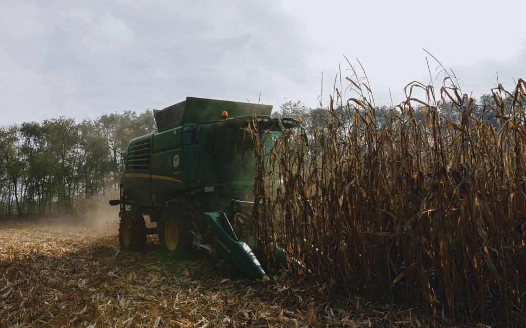 Az eső megint késett Mezőhegyesen