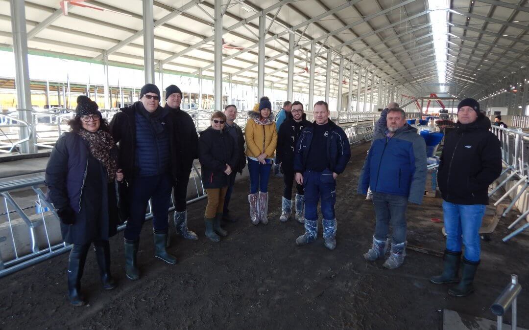 A robotos termelő istállók betelepítésének előkészítése