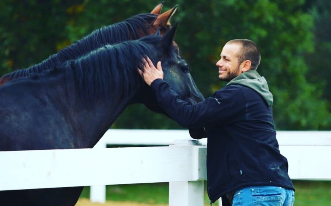 Parázs, a Jolly Joker nóniusz