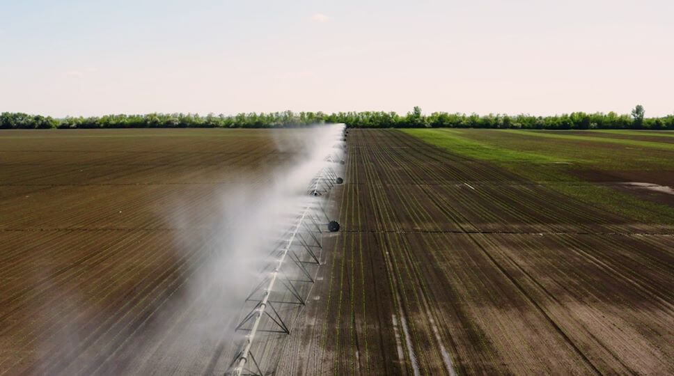 A Nemzeti Agrárgazdasági Kamara elnöke volt a vendégünk