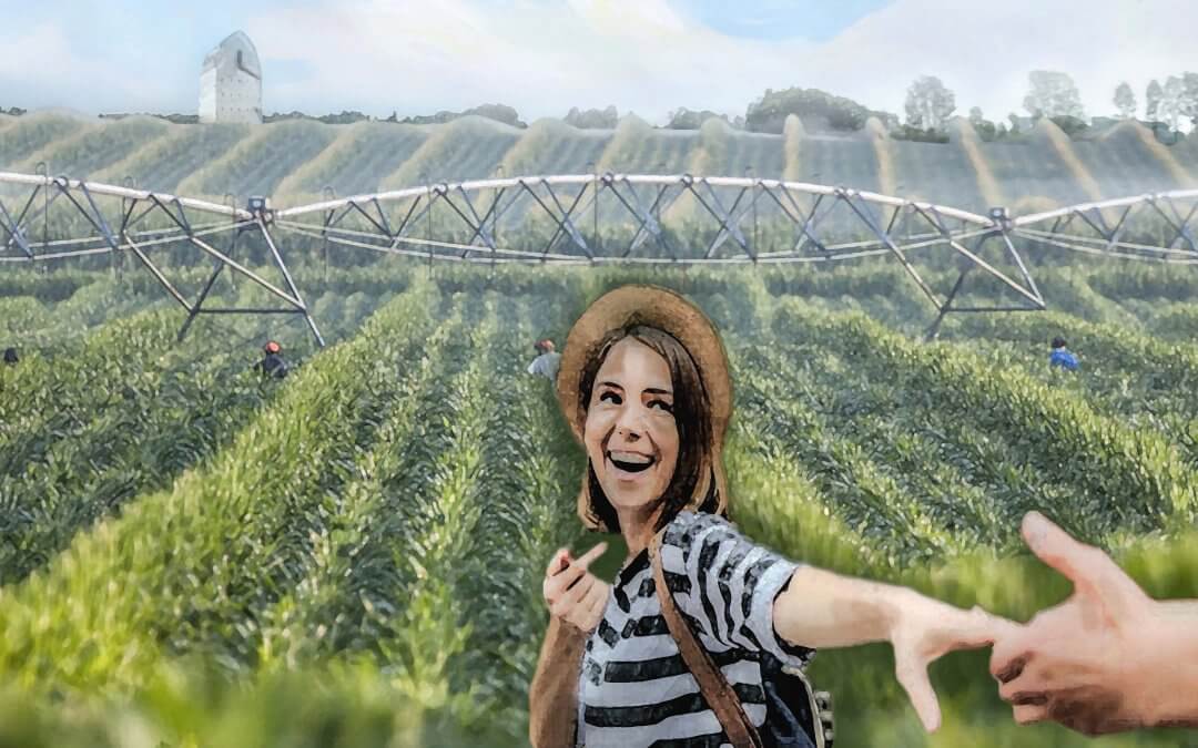 Birtoktábor Mezőhegyesen a Nemzeti Ménesbirtok és Tangazdaság Zrt. iskolájában Mezőhegyes, 2020. június 15-augusztus 07.