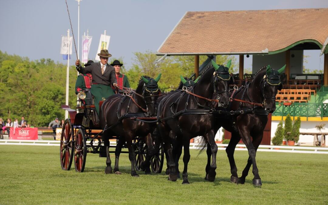 2020-ban elmaradnak kiemelt fogathajtó versenyeink