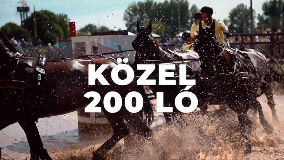 A mezőhegyesi négyesfogat dobogós helyen végzett