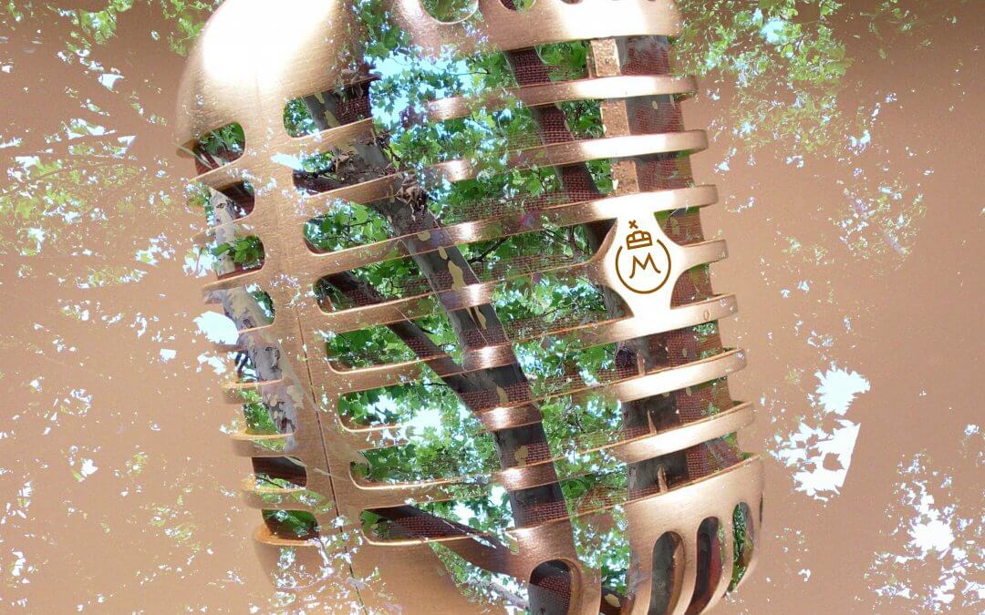 Mezőhegyesről sugároz az Országjáró