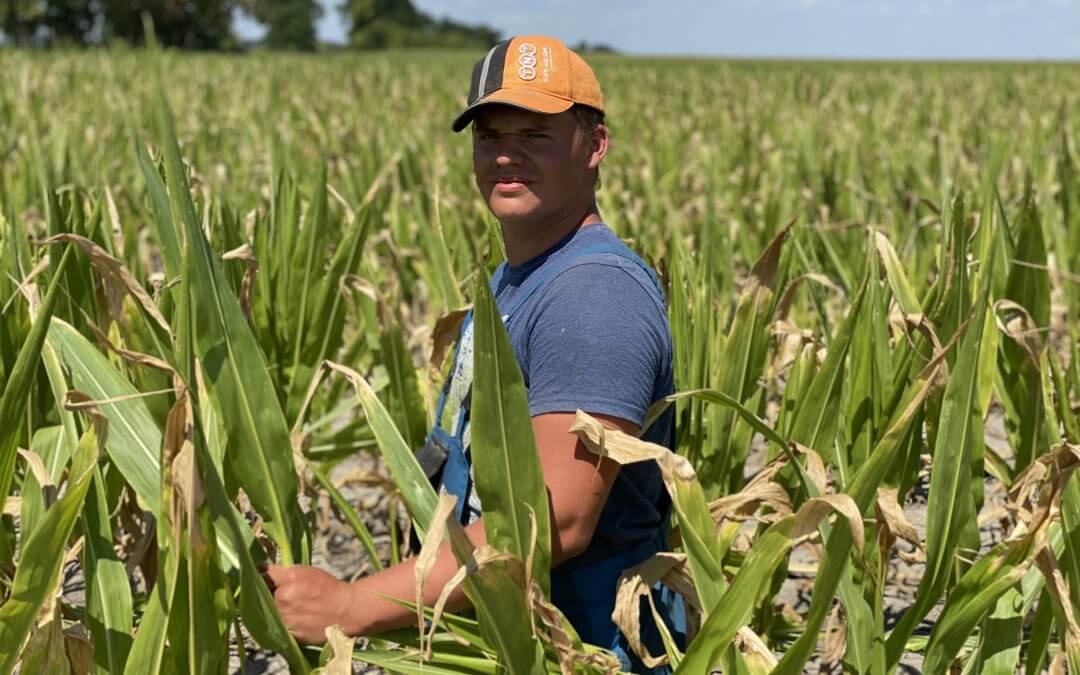 130 Magyarországról toborzott diák 13 000 munkaórát dolgozott eddig – Birtoktábor 2020