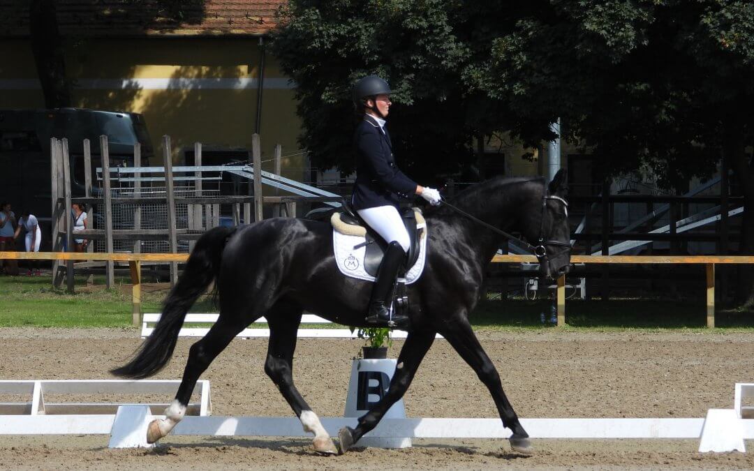 Eredményes díjlovas hétvége