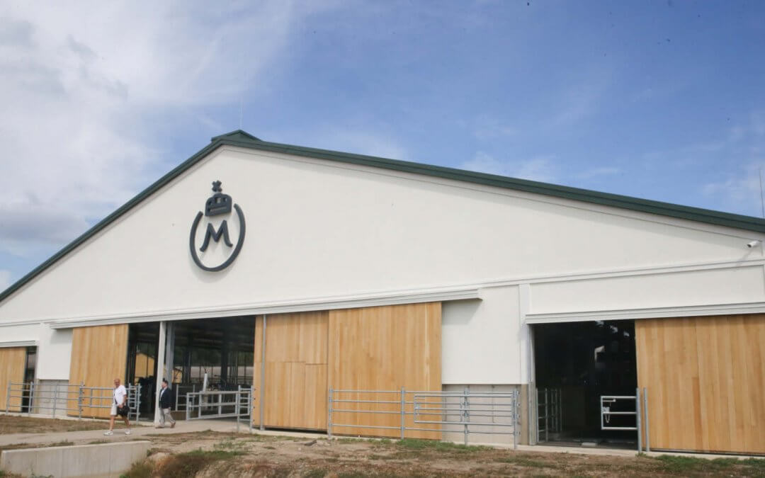 A mezőhegyesi lesz a legkorszerűbb üzem és marhatelep