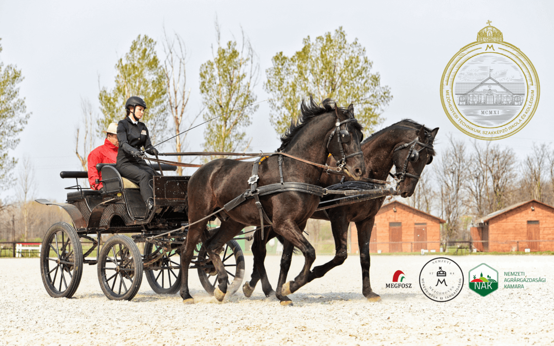 Tanulj a Ménesbirtok iskolájában!