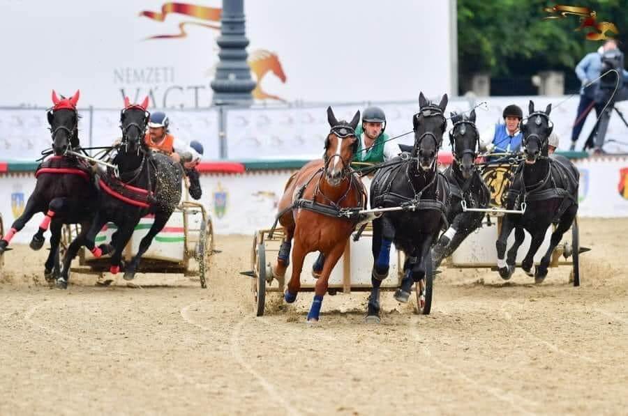 Akikre büszkék vagyunk