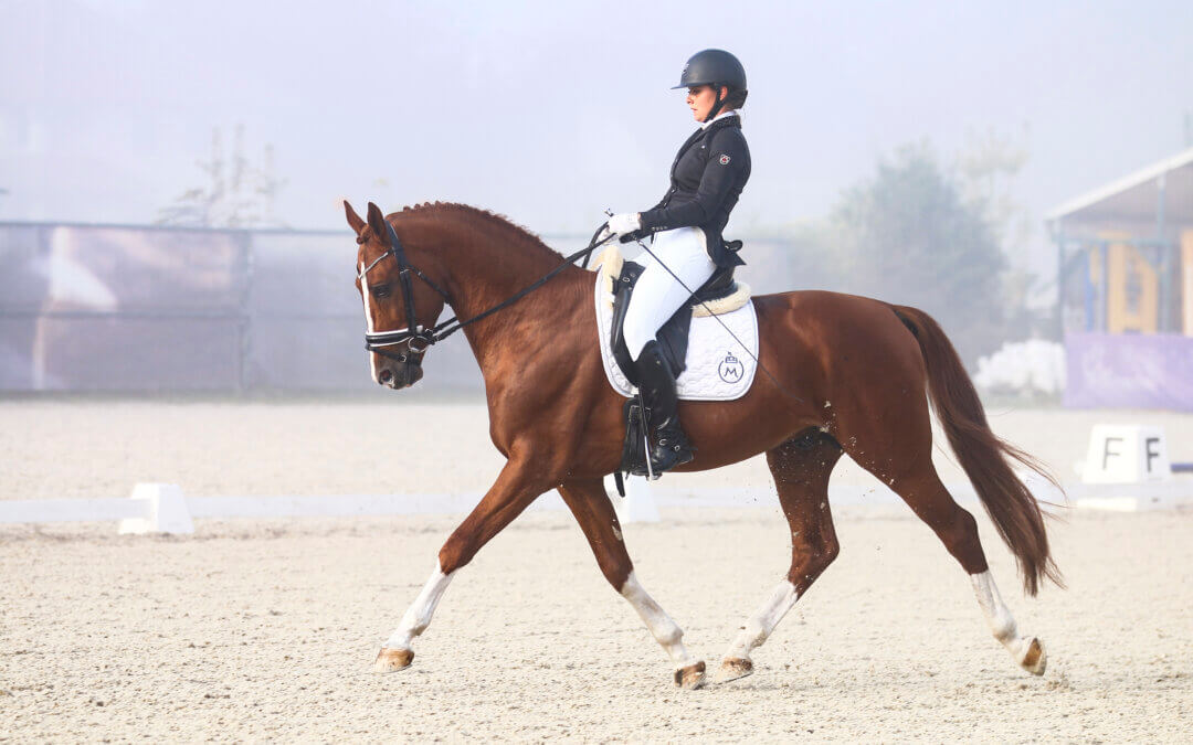 Balatonvilágosi sikerek