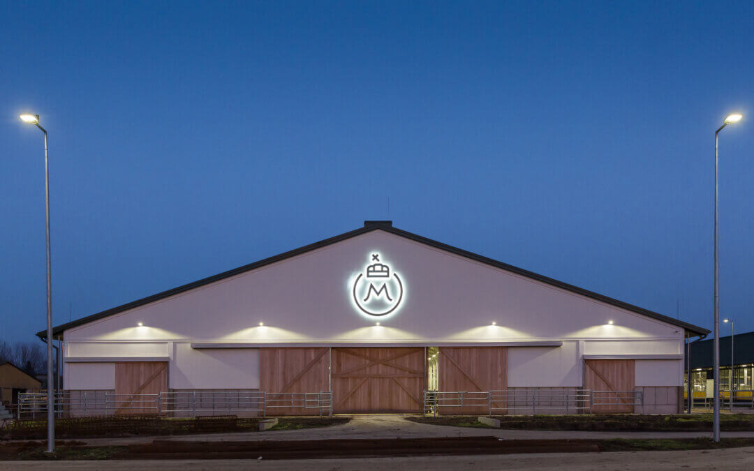 Felhívás nyári gyakorlatra 2024