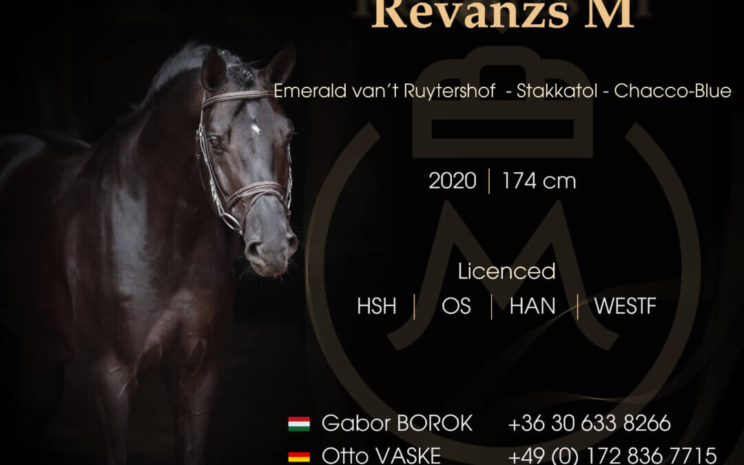 TENYÉSZTŐK FIGYELMÉBE AJÁNLJUK – Egy komplett modern mén, amelynek genetikája meghódította és uralta a világot.